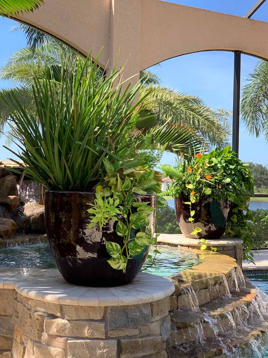Potted Plant Features - SilverMoonLandscapes.com
